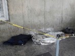 Morador de rua foi encontrado morto na passarela da estação Belém do Metrô. Foto:Eduardo Xavier/Arquivo pessoal